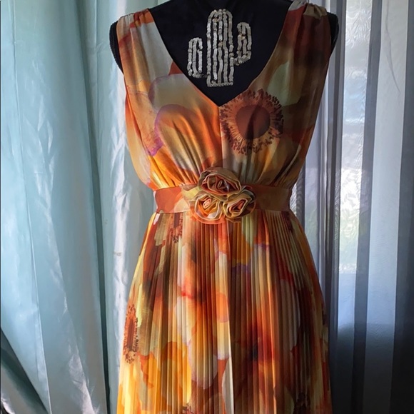 Floral Pleated Dress - Picture 1 of 5